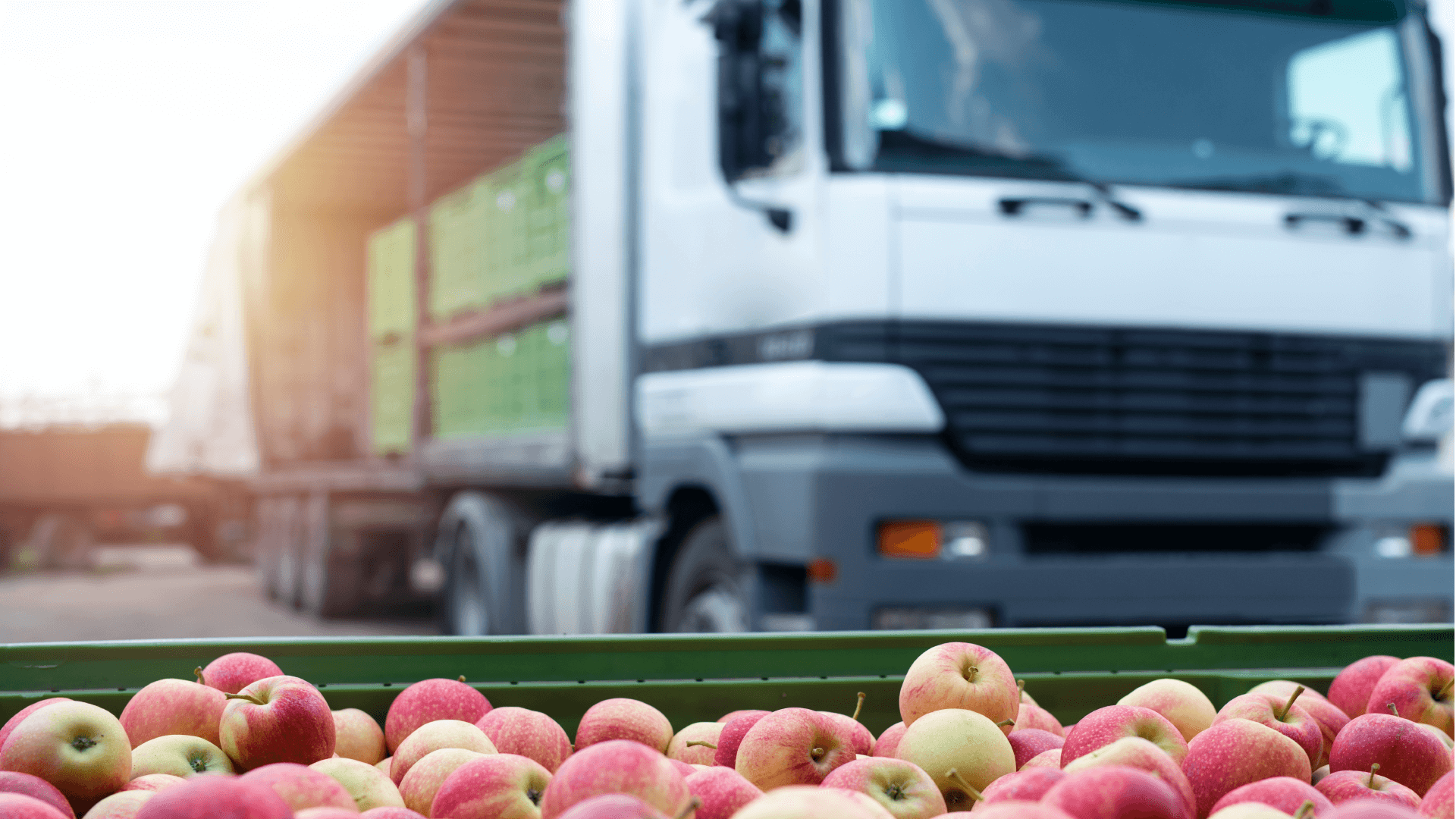 Die Lebensmittellogistik befasst sich mit den logistischen Tätigkeiten der Lebensmittelverteilung.